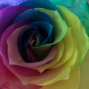 Meet your Posher, Kelli